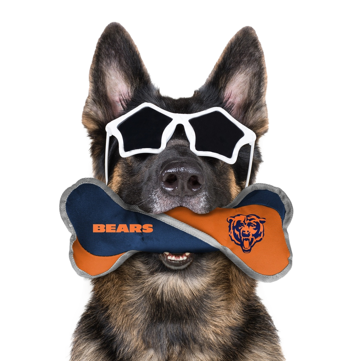Team Pet Tug Bone