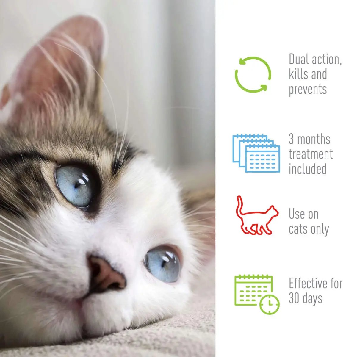 Adams Plus Flea  Tick Spot On for Cats 1ea/Over 5 lb Adams