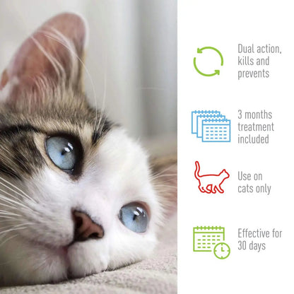 Adams Plus Flea  Tick Spot On for Cats 1ea/Over 5 lb Adams