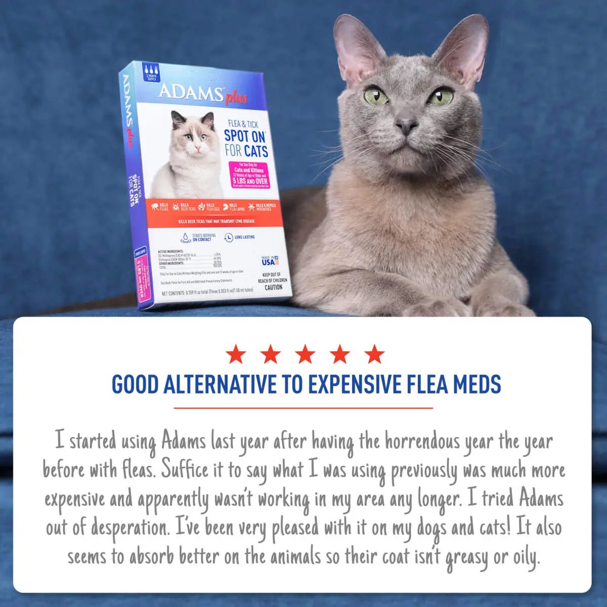 Adams Plus Flea  Tick Spot On for Cats 1ea/Over 5 lb Adams
