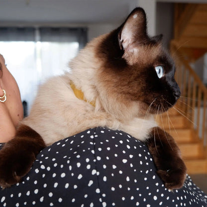 Alzoo Plant Based Flea & Tick Squeeze-On Cat Alzoo