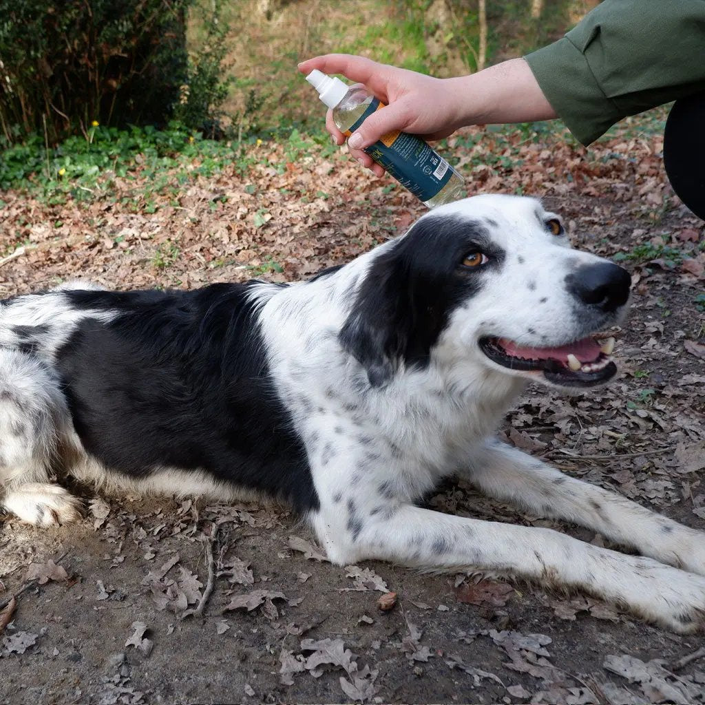 Alzoo Plant Based Flea & Tick Spray 8oz. Alzoo