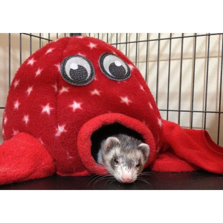 Marshall Pet Products Ferret Octo-Play Toy Octopus Red 1ea/One Size
