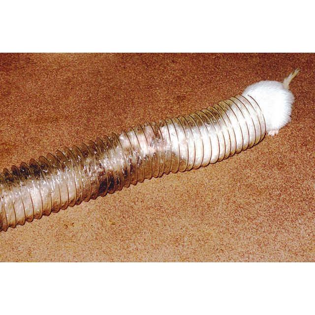 Marshall Pet Products Ferret Super Thru-Way Tunnel Toy Copper 1ea/15 ft