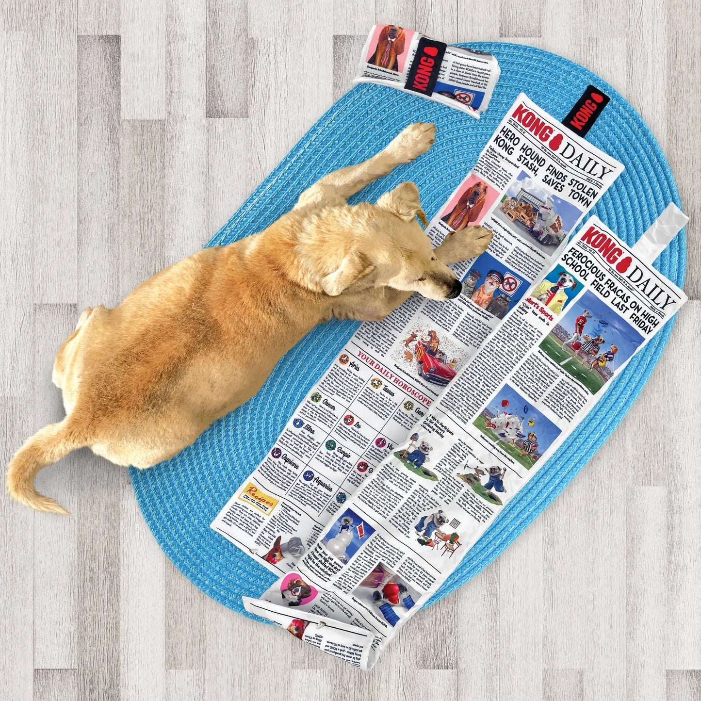 Kong Dog Daily Newspaper Xlarge Kong