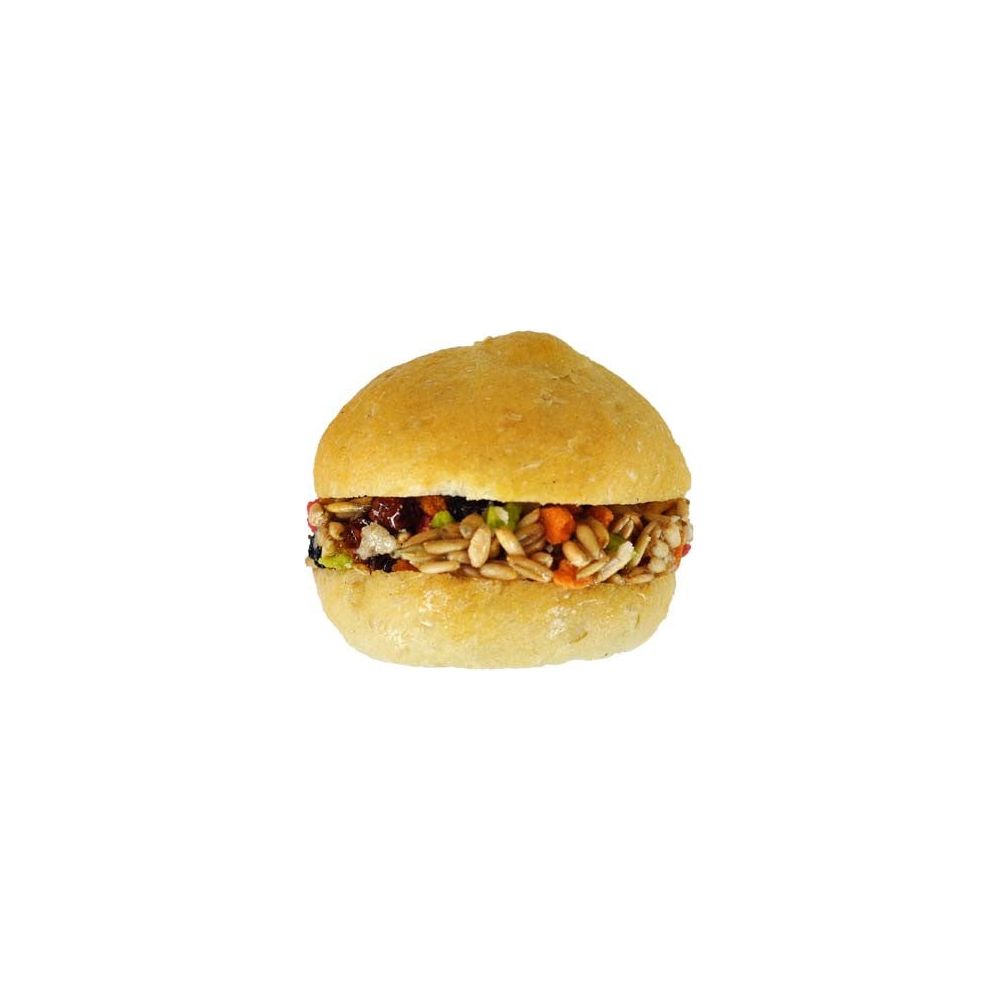 A and E Cages Small Animal Vitaburger Treat Display Box 12 ct