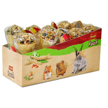 A and E Cages Small Animal Ice Cream Cone Treat Display 10 ct