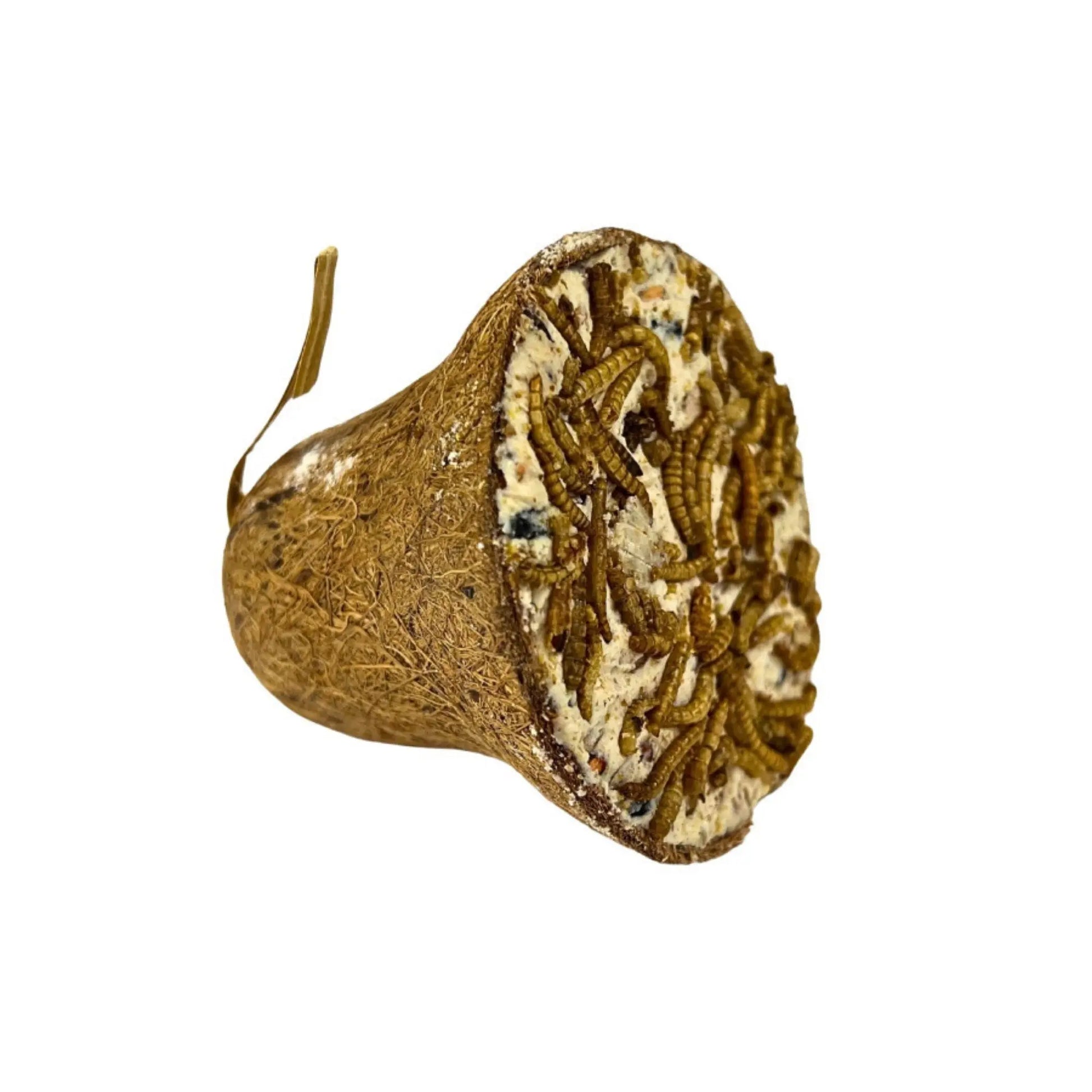 A & E Cages Garden & Fun Coconut Fiber Suet Bell Bird Treat 1ea/250 g A & E Cages