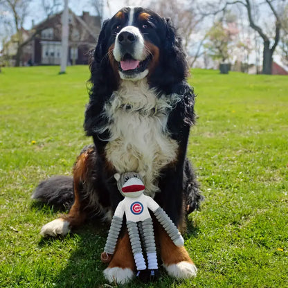 Team Sock Monkey Pet Toy