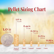 Lafeber Company Premium Daily Pellets for Parrots 1ea/5 lb