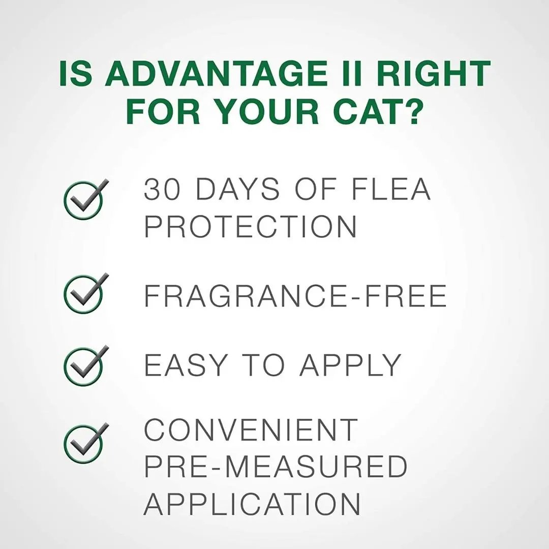 Advantage II Small Cat Single Dose Orange Bayer