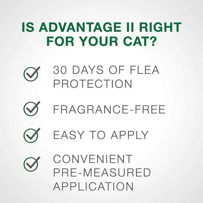Advantage II Small Cat Single Dose Orange Bayer