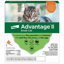 Advantage II Small Cat Single Dose Orange Bayer