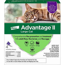 Advantage II Cat Large Purple 4-Pack Elanco