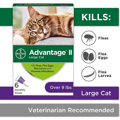 Advantage II Cat Large Purple 6-Pack (3 packs) Elanco