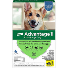 Advantage Ii Dog Extra Large Blue 6-Pack Bayer