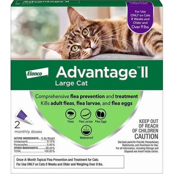 Advantage II Cat Large Purple 2-Pack (3packs) Elanco