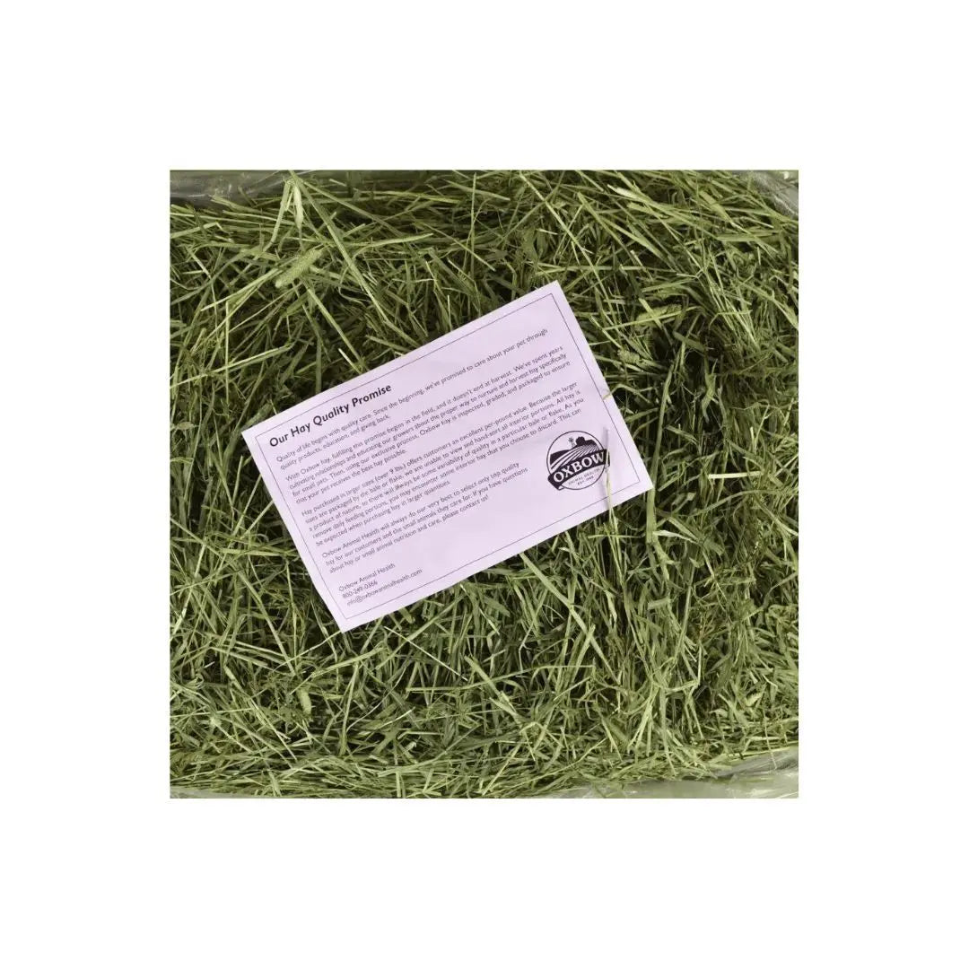 Oxbow Animal Health Western Timothy Hay 1ea/40 oz Oxbow