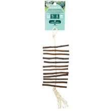 Oxbow Animal Health Enriched Life Apple Stick Dangly Small Animal Toy 1ea/One Size Oxbow