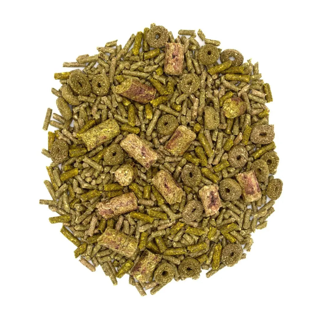 Oxbow Small Forage Wise Adult Rabbit 4Lb Oxbow