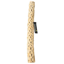 Galapagos Cactus Skeleton Cholla Wood Brown 1ea/36 in