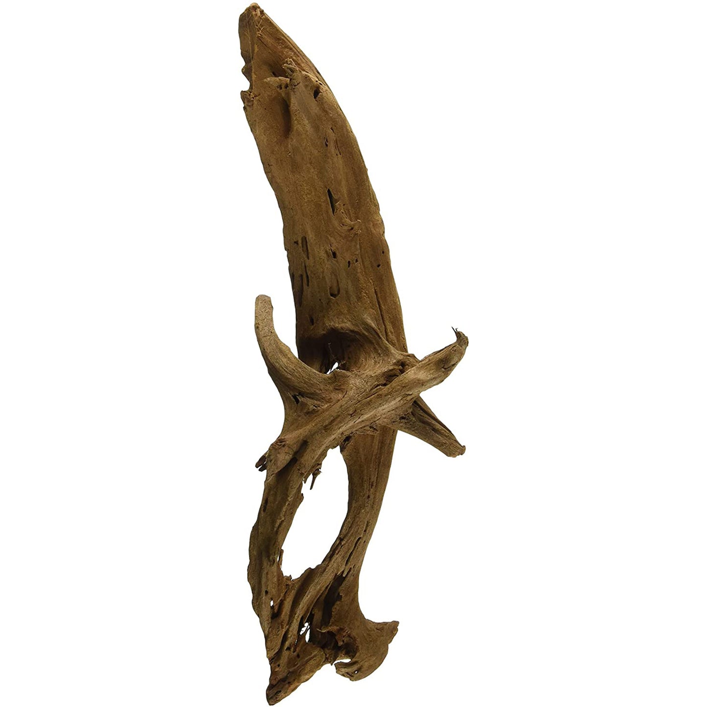 Galapagos Sinkable Driftwood Brown 1ea/11-13 in, MD