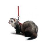Marshall Pet Products Ferret Harness and Lead Set Red 1ea