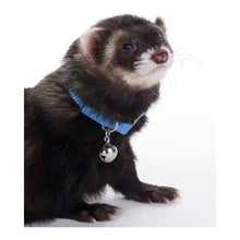 Marshall Pet Products Ferret Bell Collar Blue 1ea/3/8 in
