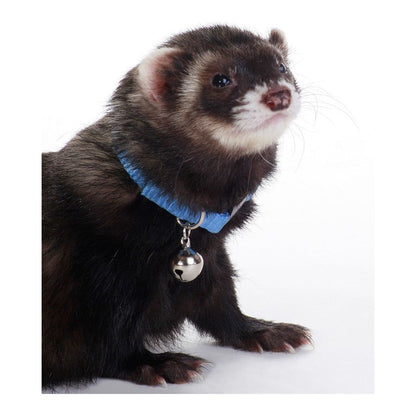 Marshall Pet Products Ferret Bell Collar Blue 1ea/3/8 in