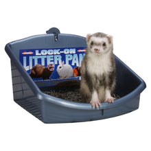 Marshall Pet Products Lock-On Litter Pan for Small Animals Assorted 1ea
