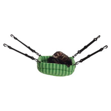 Marshall Pet Products 2-in-1 Ferret Bed Green 1ea Marshall Pet Products