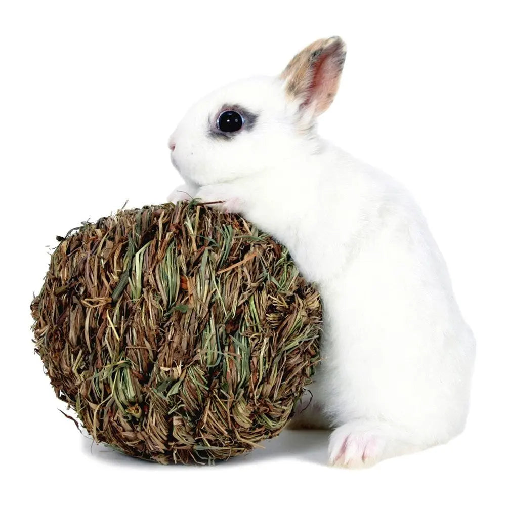 Marshall Pet Products Woven Grass Play Ball for Small Animals Light Green 1ea Marshall Pet Products