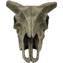 Komodo Deer Skull Reptile Hideout Gray 1ea/One Size Komodo