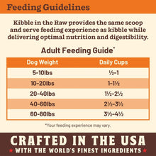 Primal Dog Freeze-Dried Kibble In The Raw Beef 9Lb Primal Pet Food