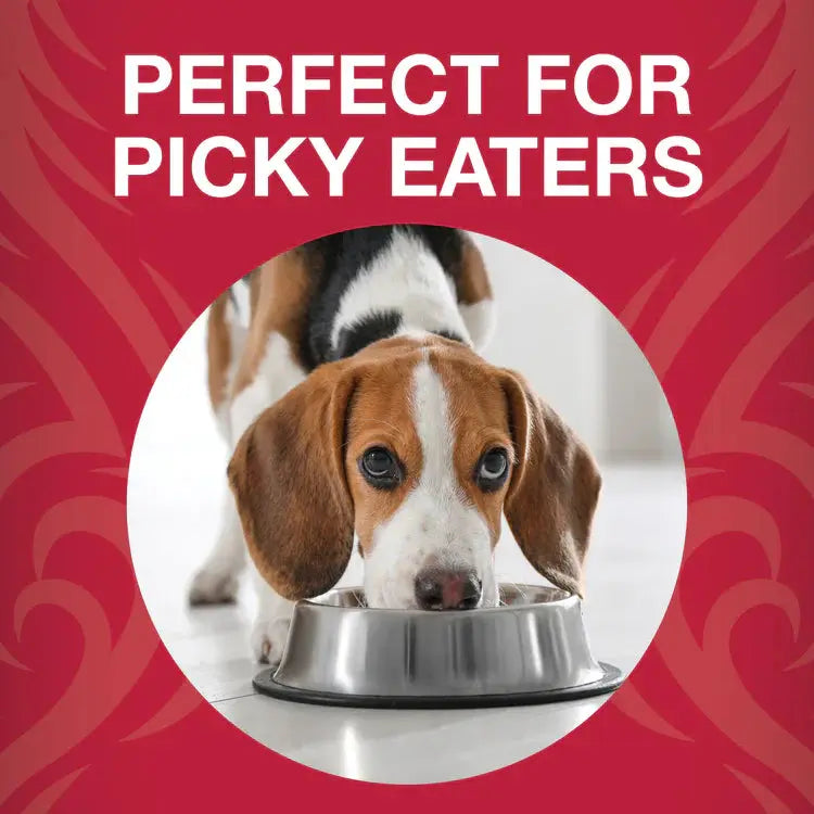 Koha Dog Grain Free Raw Freeze Dried Bites Beef 14oz. Koha