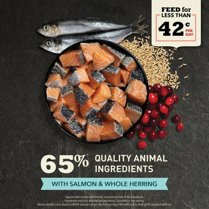 ACANA Bountiful Catch Salmon Catfish & Herring Dry Cat Food Pet Food Experts