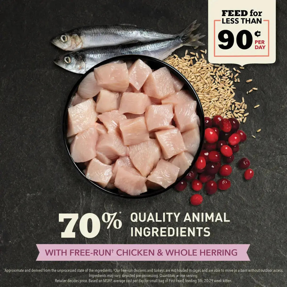 ACANA Kittens First Feast Chicken & Fish Dry Cat Food Pet Food Experts