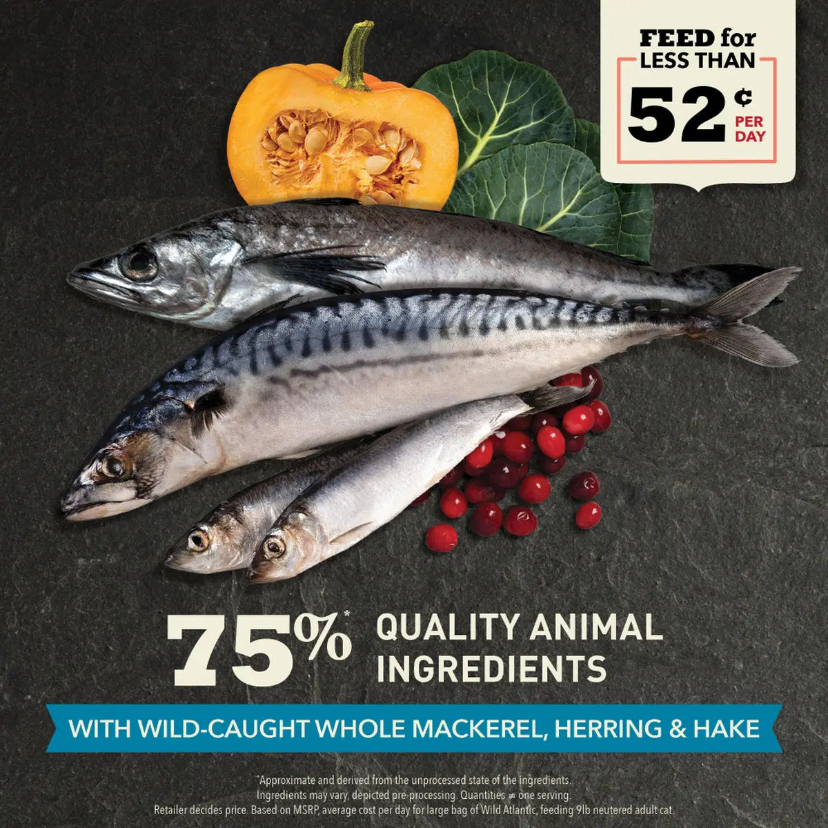 ACANA Wild Atlantic Saltwater Fish with Freeze-Dried Liver Grain-Free Dry Cat Food Pet Food Experts