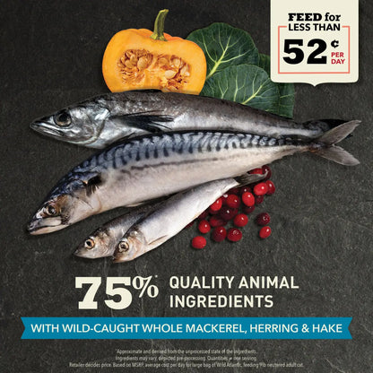 ACANA Wild Atlantic Saltwater Fish with Freeze-Dried Liver Grain-Free Dry Cat Food Pet Food Experts