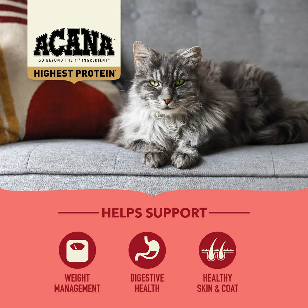 ACANA Indoor Cat Highest Protein Dry Cat Food Pet Food Experts