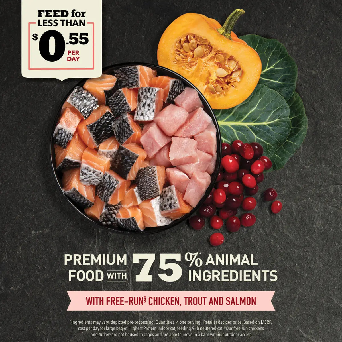 ACANA Indoor Cat Highest Protein Dry Cat Food Pet Food Experts