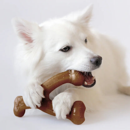 Benebone Wishbone Medium