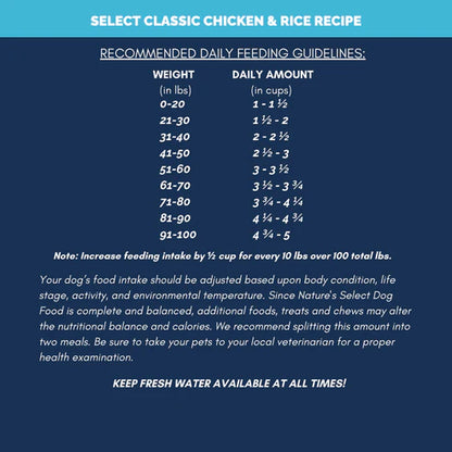 Adopter Special Classic Chicken & Rice Recipe
