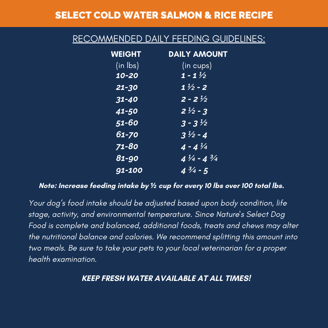 Nature's Select Cold Water Salmon & Rice Recipe, Dry Dog Food for Adults