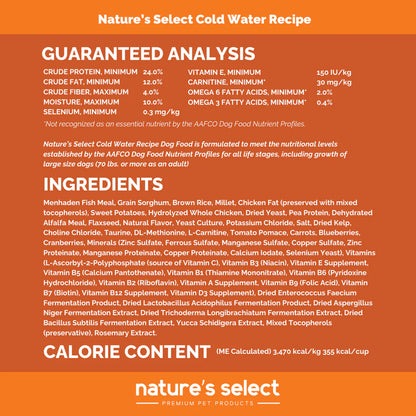 Select Cold Water Recipe  - White Fish & Sweet Potato