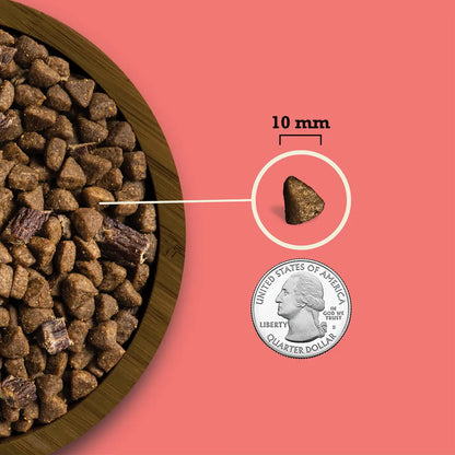 ACANA Butcher's Favorites Grain-Free Farm-Raised Beef & Liver Dry Dog Food Pet Food Experts