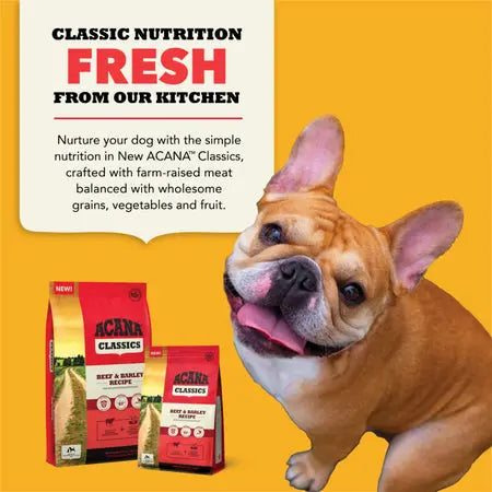 ACANA Dog Classics Beef & Barley Recipe Pet Food Experts