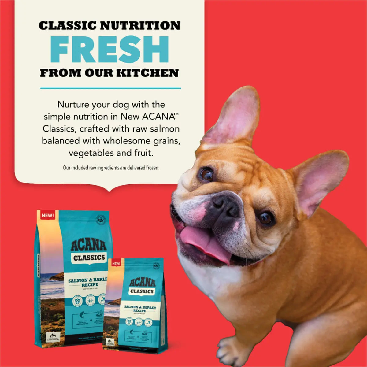 ACANA Dog Classics Salmon & Barley Recipe Pet Food Experts
