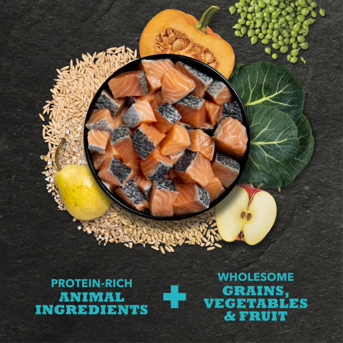 ACANA Dog Classics Salmon & Barley Recipe Pet Food Experts