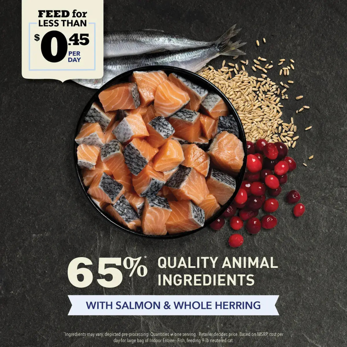 ACANA Senior Entree Chicken & Turkey Dry Cat Food Pet Food Experts